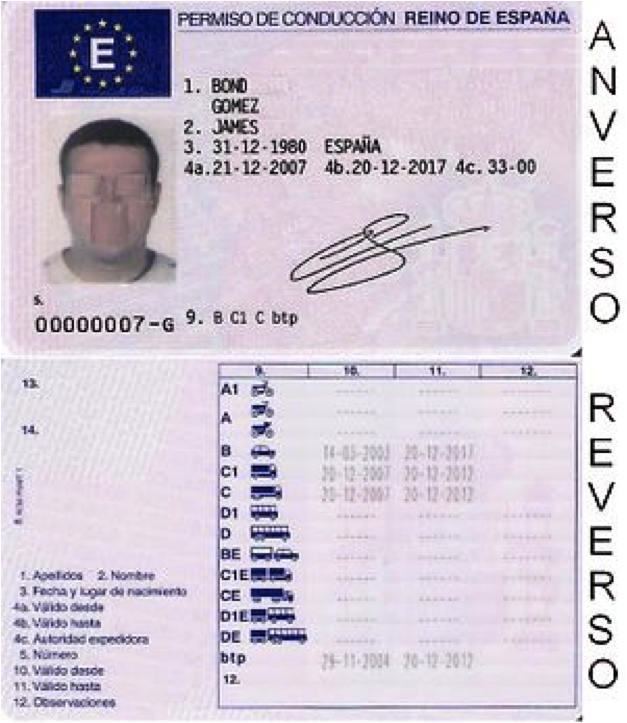 European Union Driving License